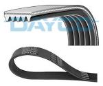 CINGHIA POLY V FO.FIESTA D/TD